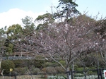 3.26 008-s.jpg