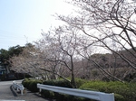 3.26 020-s.jpg