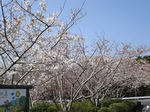 3.28 004-s.jpg