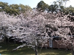 3.28 009-s.jpg