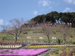 3.28 023-s.jpg