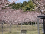 3.28 029-s.jpg