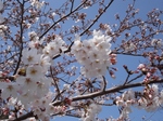 3.28 038-s.jpg