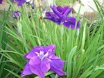 6.20 011.jpg-s.jpg